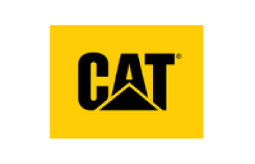 Cat footwear